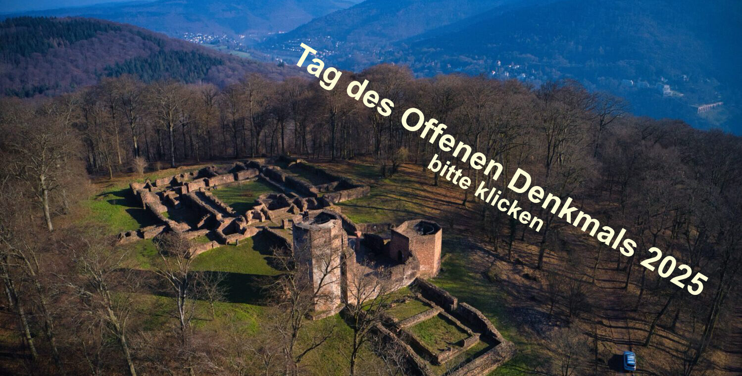 https://heiligenberg-handschuhsheim.de/schutzgemeinschaft-heiligenberg/aktuelles